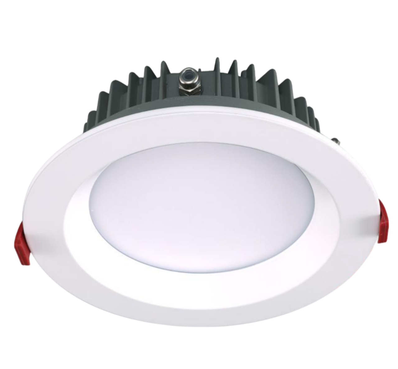 DL PRO
